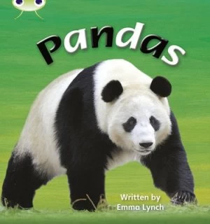Image of Phonics Bug Non-Fiction Set 09 Pandas by Emma Lynch Paperback