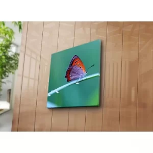 Image of 4545NAT-9 Multicolor Decorative Canvas Painting