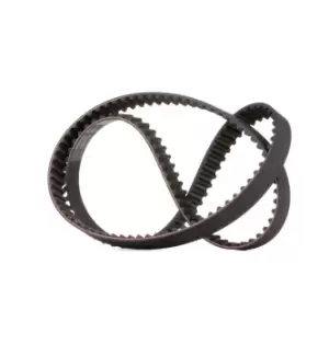 image of GATES Timing Belt FORD,RENAULT,VOLVO 5509XS 1388494,6G9N6K288AA,7438627484 Cam Belt,Toothed Belt 7439440383,272329,274338,274518,8627484,9440383