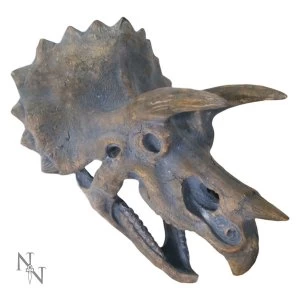 Image of Triceratops Head Large