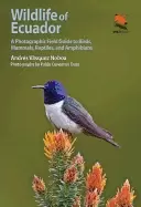 Image of wildlife of ecuador a photographic field guide to birds mammals reptiles a