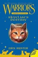 Image of skyclans destiny