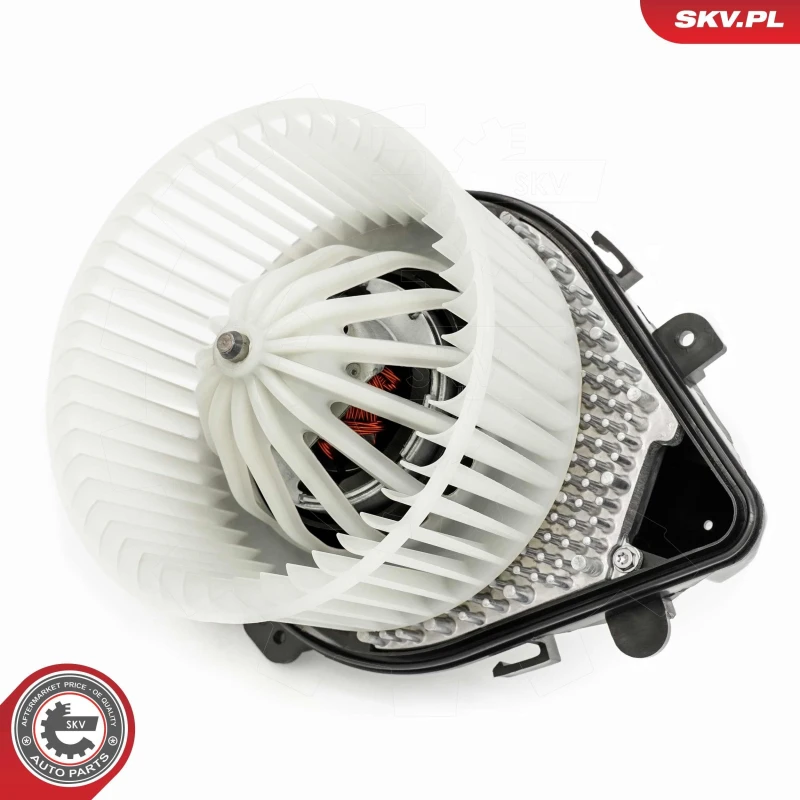Image of ESEN SKV Blower motor ESEN SKV 68SKV055