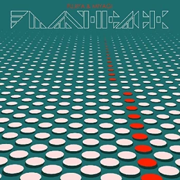 Image of Fujiya & Miyagi - Flashback CD