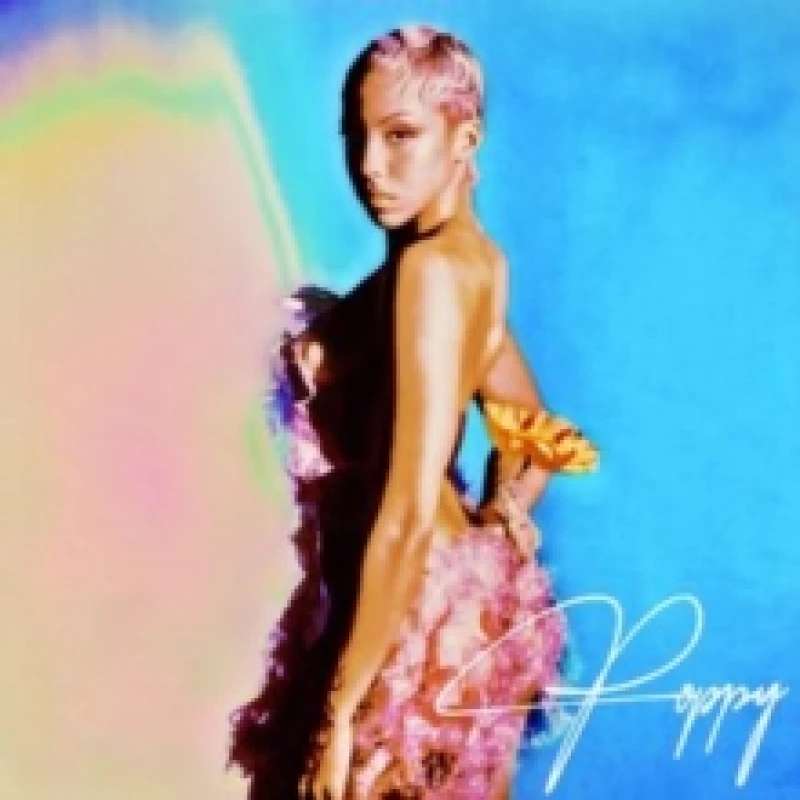 Image of Poppy Vinyl