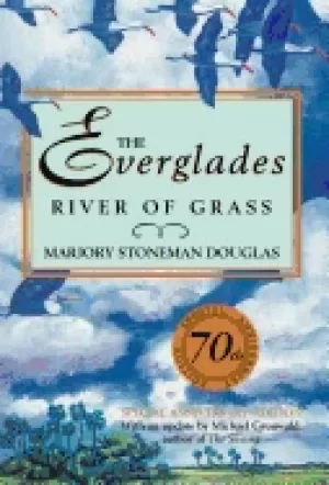 Image of everglades river of grass