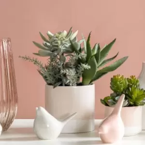 Image of Crossland Grove Potted Succulent Mix In Ceramic Pot H280Mm