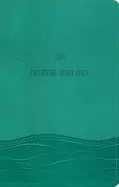 Image of ESV Following Jesus Bible