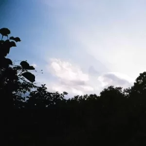 Image of Memory Repetitions by Celer CD Album