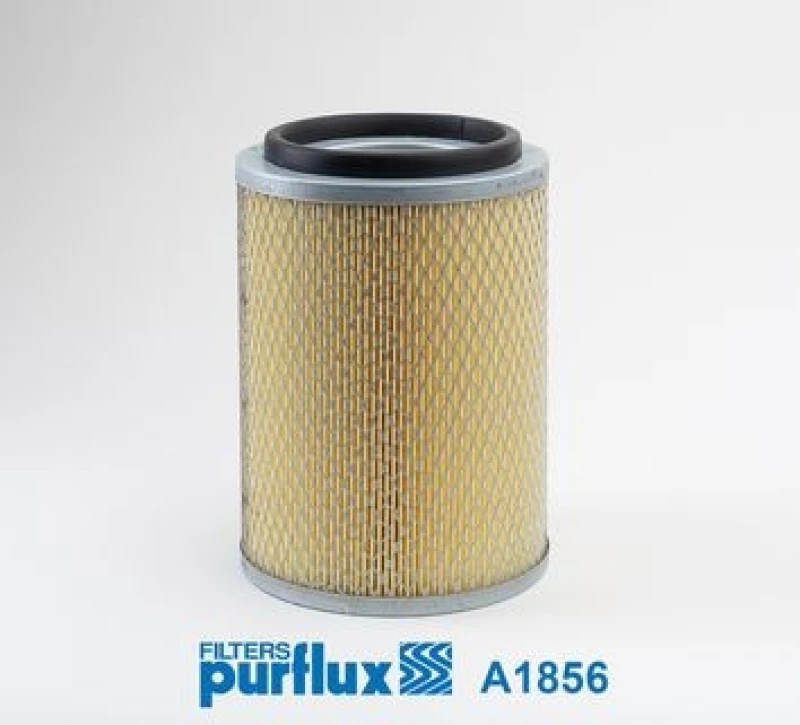Image of Air filter PURFLUX A1856