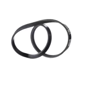 Image of RIDEX V-ribbed belt 305P0435 Serpentine belt,Auxiliary belt FIAT,HYUNDAI,NISSAN,STILO (192),STILO Multi Wagon (192),Strada Pickup (178_)