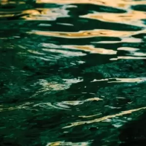 Image of The Wave Ahead by Jo Johnson Vinyl Album