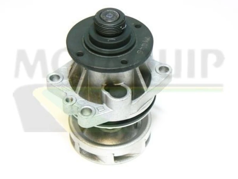 Image of MOTAQUIP Water pump MOTAQUIP VWP415