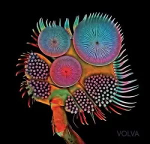 image of Volva by Echolot CD Album