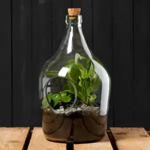 image of DIY Open Bottle Plant Terrarium Starter Kit - 3 litre