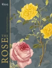 Image of RHS The Rose : The history of the world's favourite flower in 40 roses