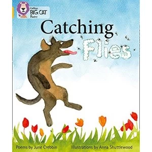 Image of Catching Flies: Band 09/Gold by HarperCollins Publishers (Paperback, 2012)