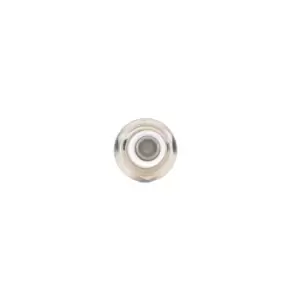Image of RIDEX Spark plug 686S0018 Engine spark plug,Spark plugs VW,FORD,SKODA,Golf IV Schragheck (1J1),Golf V Schragheck (1K1),POLO (9N_),GOLF VI (5K1)