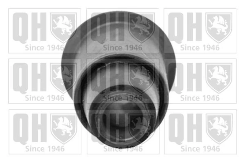 Image of QUINTON HAZELL Trailing arm / Suspension arm bush QUINTON HAZELL EMS8328