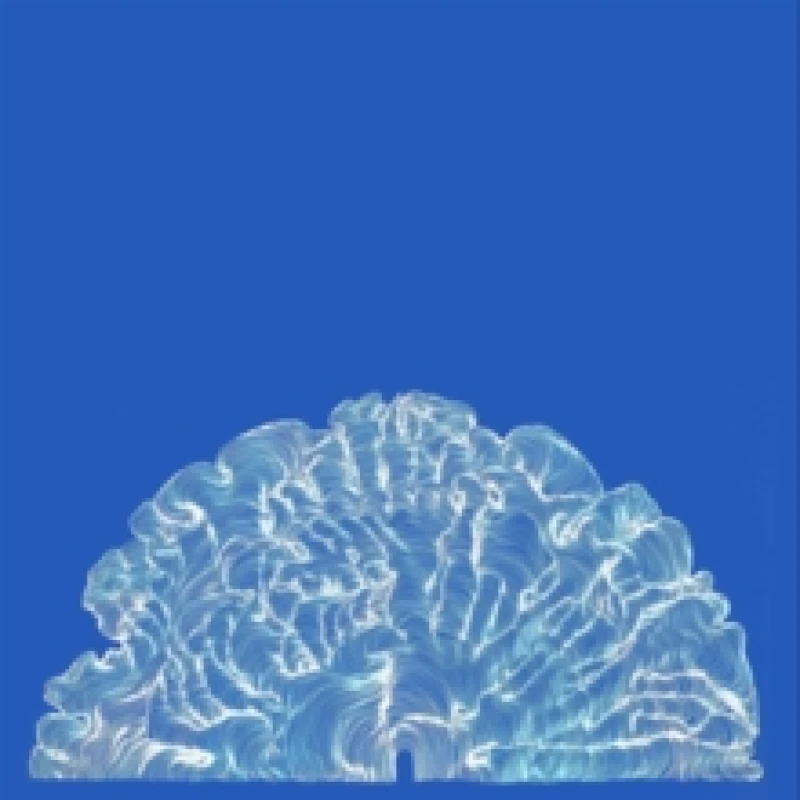 Image of Yes! Come Parade With Us CD / Album (Limited Edition)