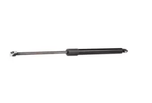 Image of RIDEX Tailgate strut BMW 219G0124 51241934270,51248110327