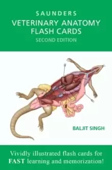 Image of Veterinary Anatomy Flash Cards