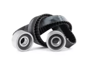 Image of INA Timing belt kit OPEL,RENAULT,FIAT 530 0113 10 0816A4,5001836608,7701044188 7701471774,99456477,99456477,500038736,500055908,503644954,99430032