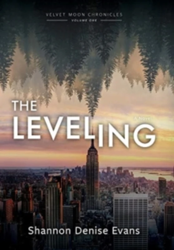 Image of Velvet Moon Chronicles : The Leveling Hardback