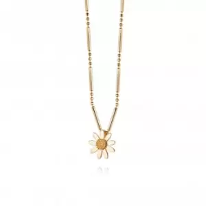 Image of Marguerite Daisy 18ct Gold Plated Necklace N4002_GP