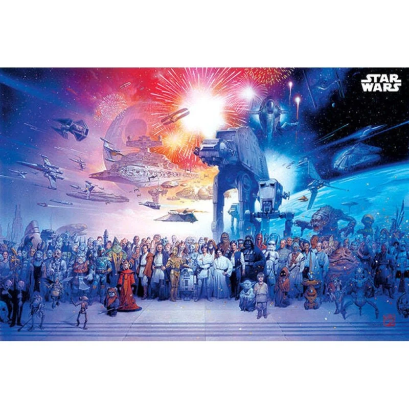 Image of Star Wars Universe Poster Multi unisex