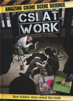 Image of Csi at Work by John Townsend Hardback