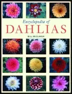 Image of encyclopedia of dahlias