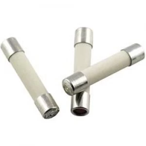 Image of Micro fuse x L 5mm x 25mm 10 A 250 V Medium time lag mT