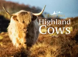 Image of villager jims highland cows