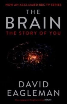 Image of The Brain by David Eagleman Paperback