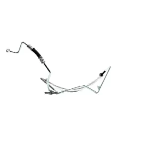 Image of RIDEX Hydraulic Hose, steering system VW,SEAT 677H0013 6N1422893J,6N1422893J