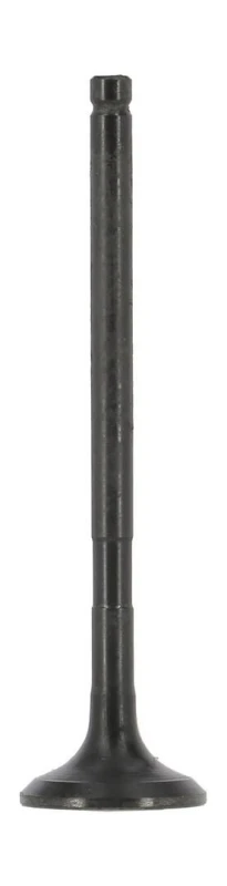 Image of Exhaust valve AE V95259