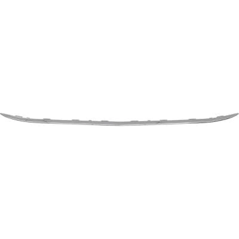 Image of Bumper moulding DIEDERICHS 1686161