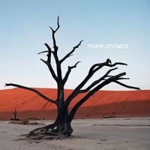 Image of Them Stones by Them Stones CD Album