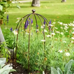 Image of Outdoor Plant Support Bronze