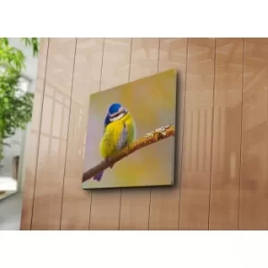 Image of 4545NAT-8 Multicolor Decorative Canvas Painting
