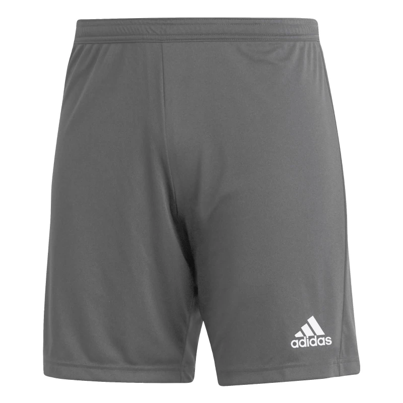 Image of adidas Entrada 22 Shorts Mens Grey male XL