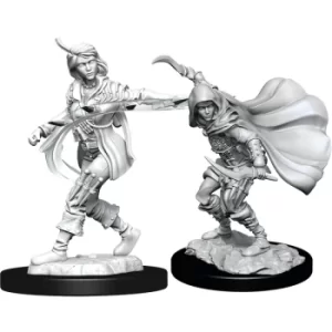 Image of Pathfinder Battles Deepcuts Unpainted Miniatures (W14) Human Rogue Female