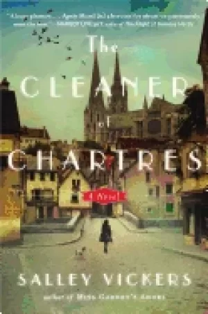 Image of cleaner of chartres a novel