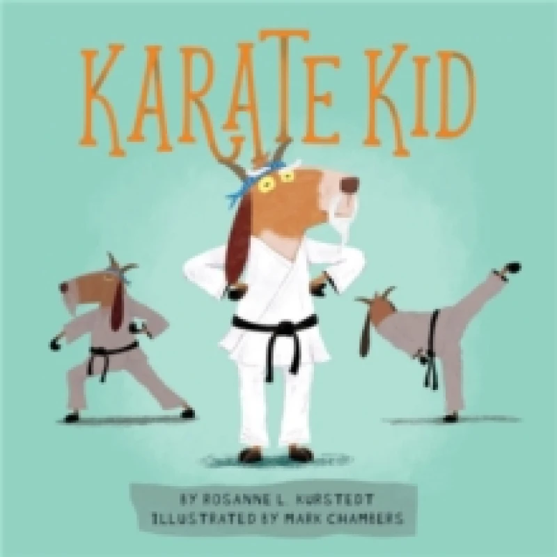 Image of karate kid 9780762493432