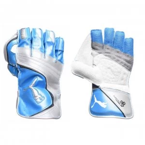 image of Puma Evo 2 Unisex Cricket Gloves - Blue/White