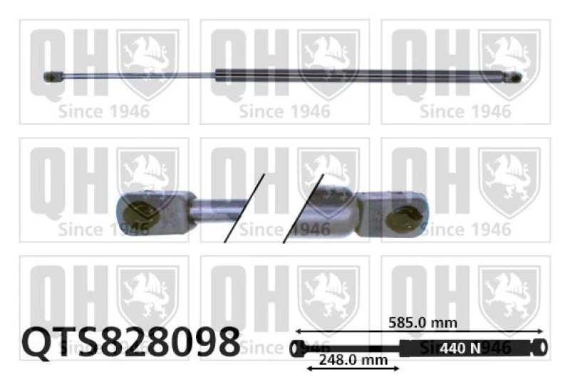 Image of QUINTON HAZELL Tailgate strut QUINTON HAZELL QTS828098