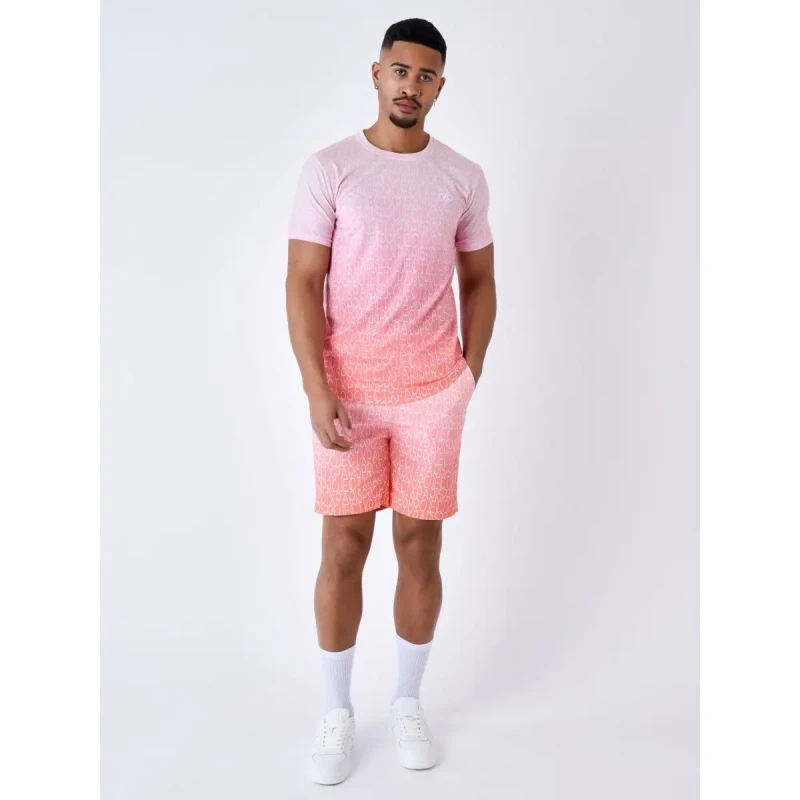 Image of Project X Paris Two-tone gradient effect T-Shirt Project X Paris Beige Male XS