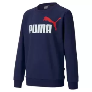 image of Puma Essential Sweater Child Boys - Blue