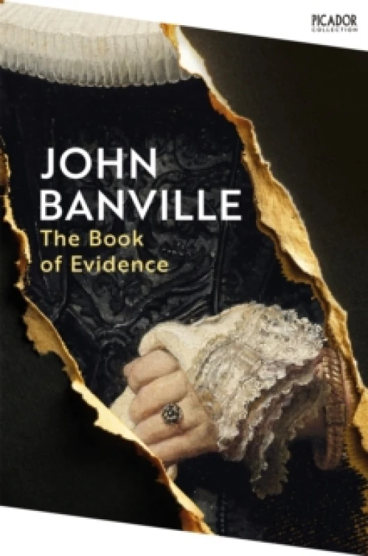 Image of The Book of Evidence. Paperback. By John Banville Books